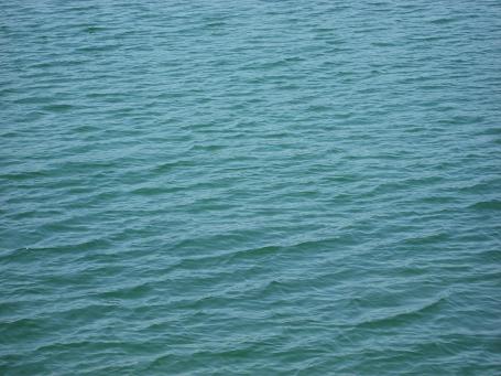 海 海