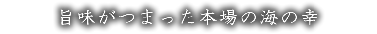 旨味がつまった本場の海の幸