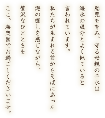 胎児を育み、守る母親の羊水は海水の成分とよく似ていると言われています。私たちが生まれる前からそばにあった海の癒しを感じながら、贅沢なひとときをここ、海楽園でお過ごしくださいませ。