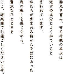 私たちが生まれる前からそばにあった海の癒しを感じながら、贅沢なひとときをここ、海楽園でお過ごしくださいませ。